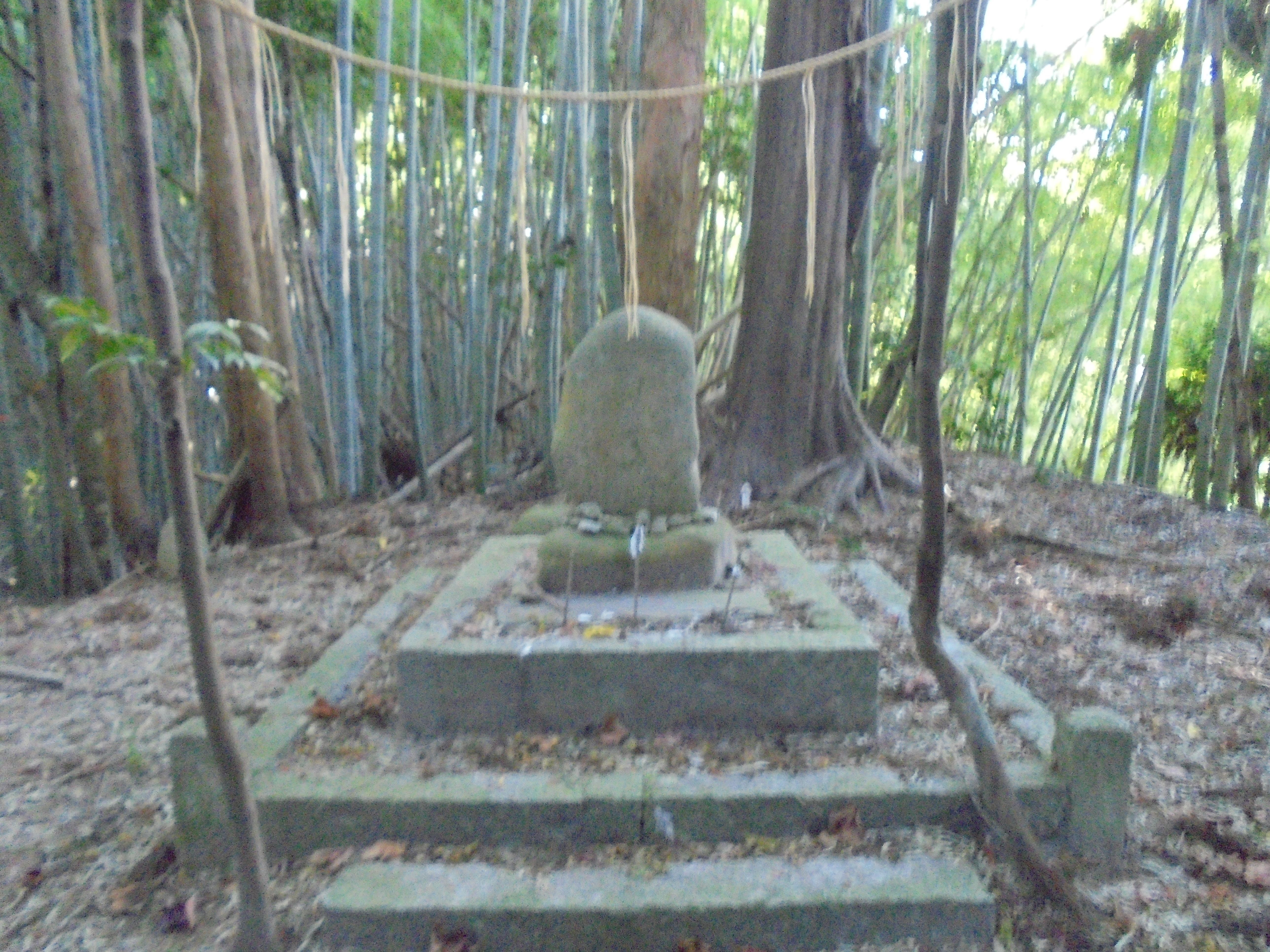 四日市の高守神社(元宮)　①