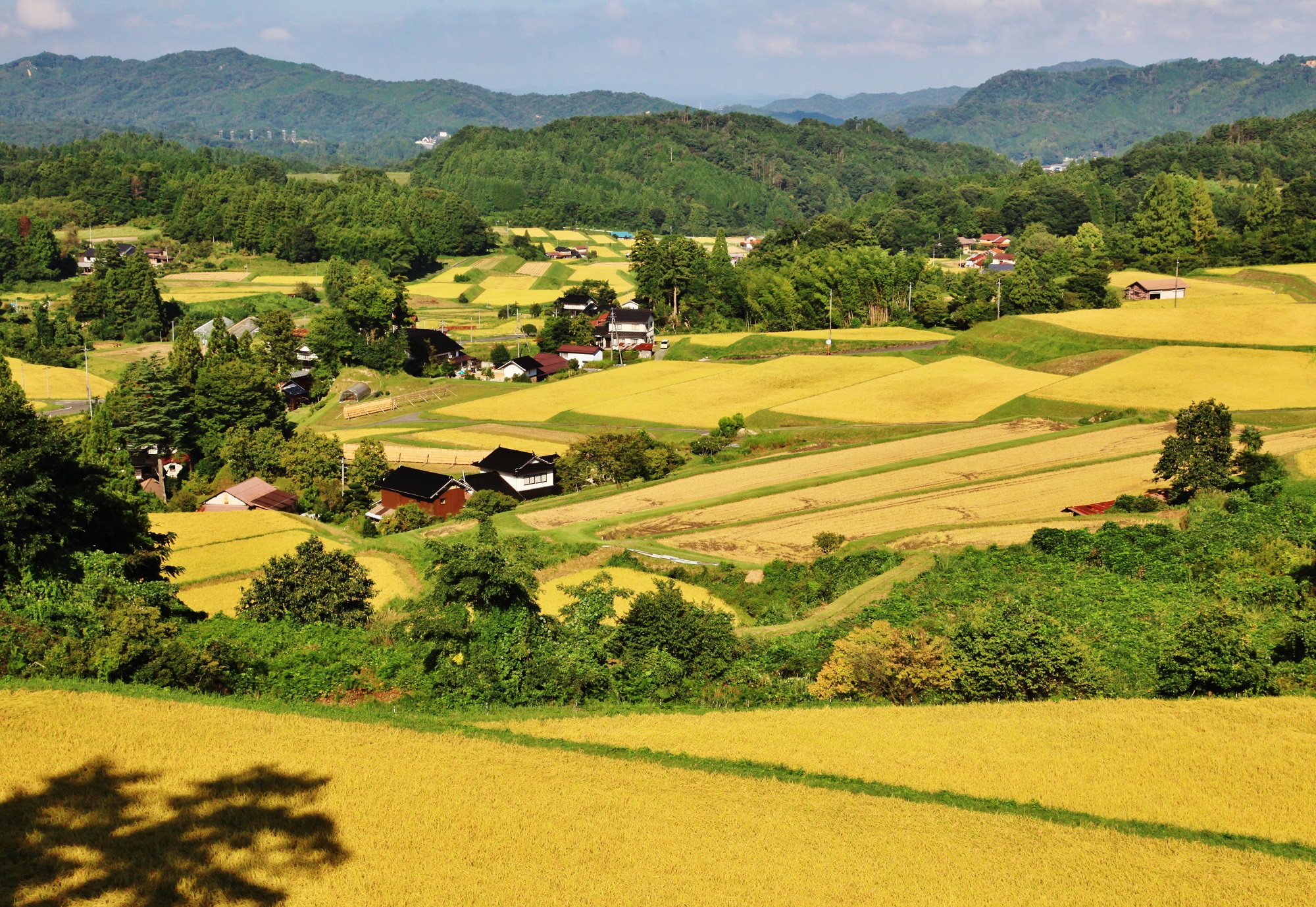 日本農業遺産認定