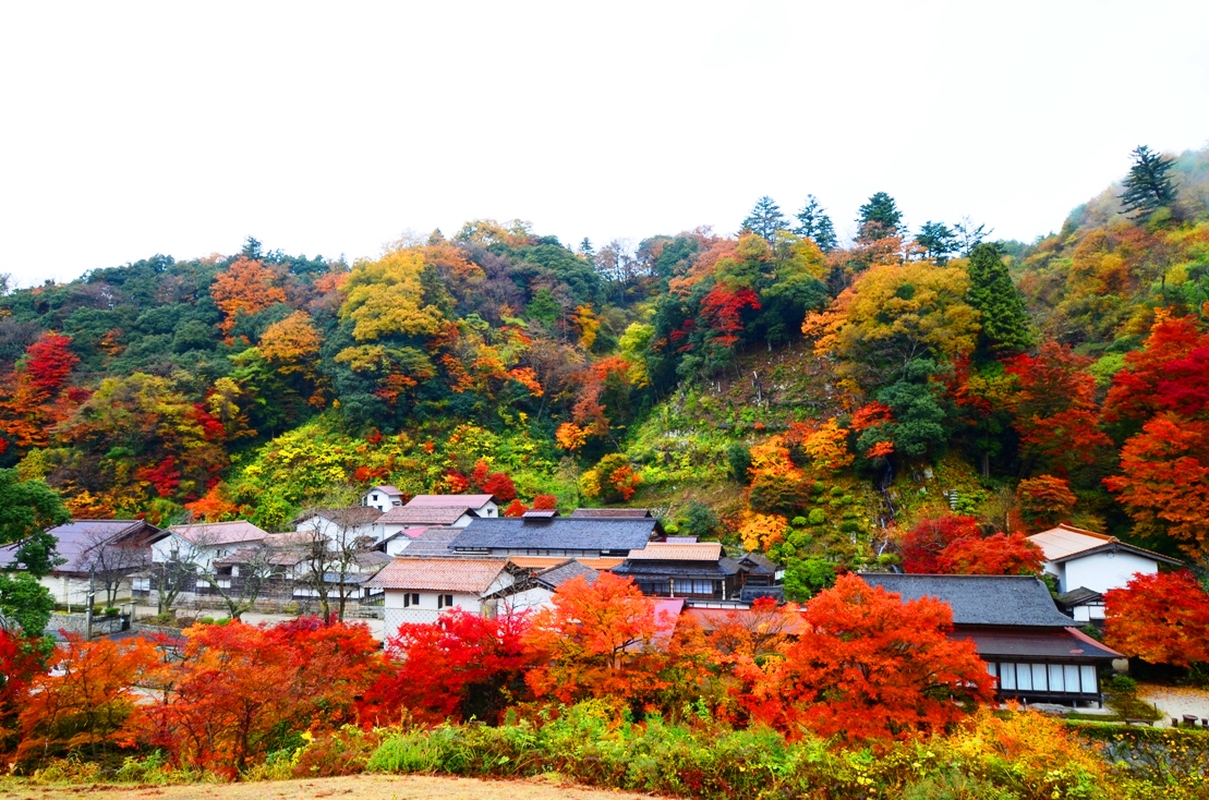 櫻井家景観