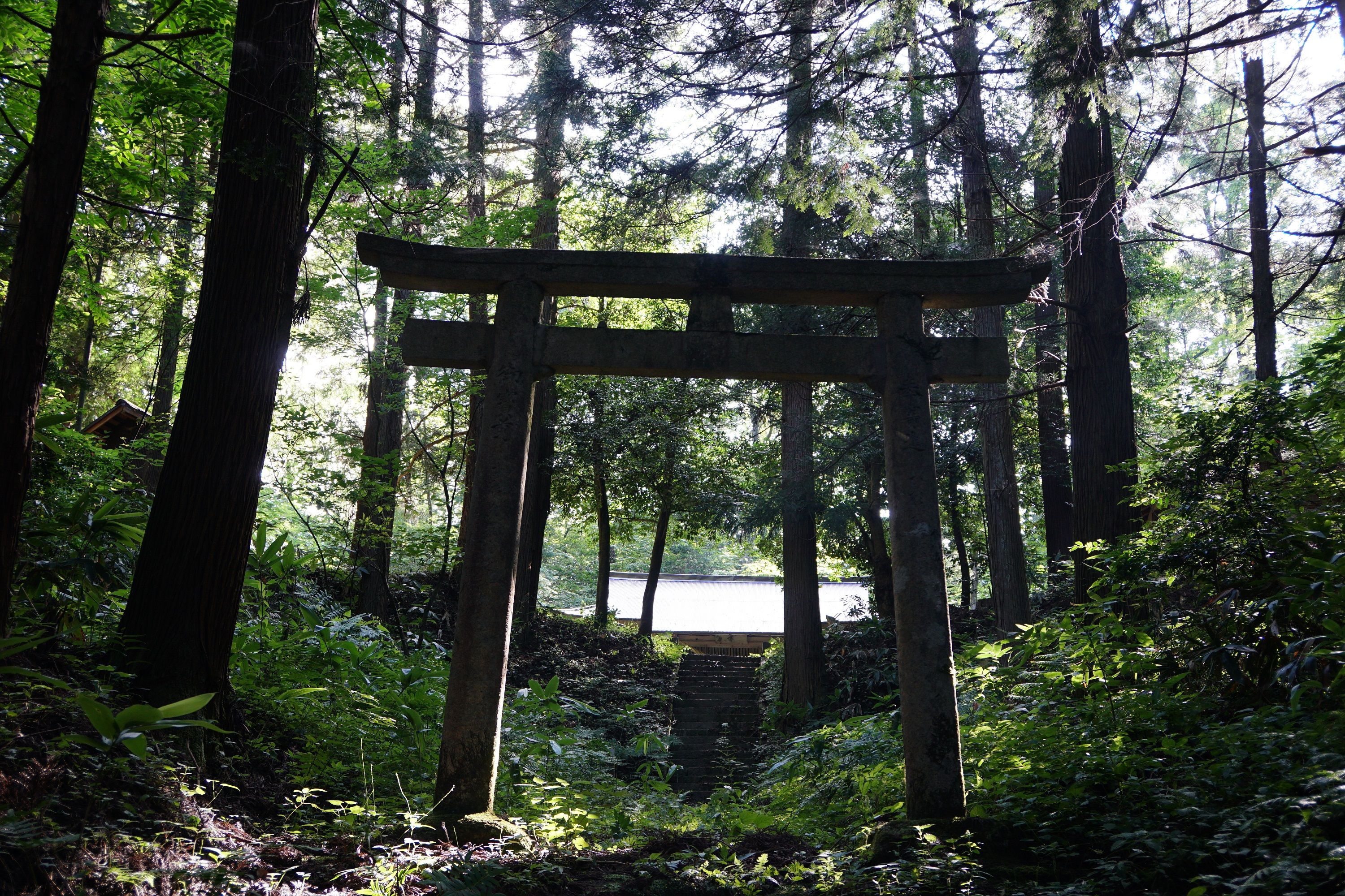 河内の金刀比羅神社