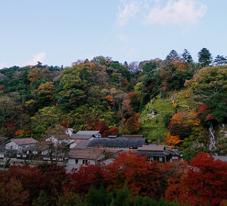 紅葉している山の画像